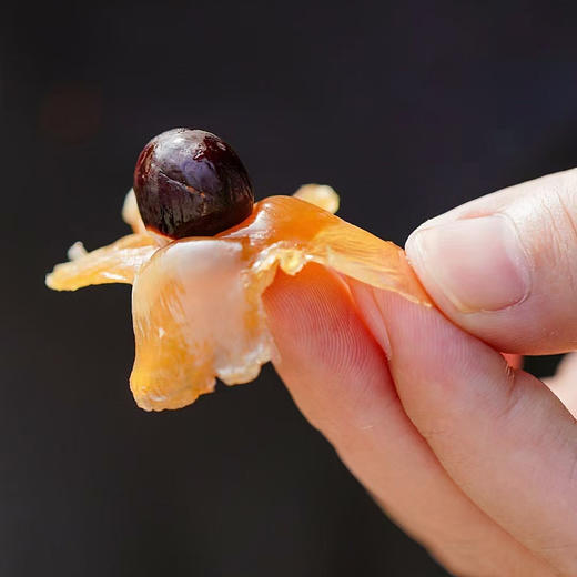 2025年新货『福建莆田桂圆干』粒大肉厚，甜美不腻，开袋即食，不干硬、有嚼劲，带壳更卫生 商品图5