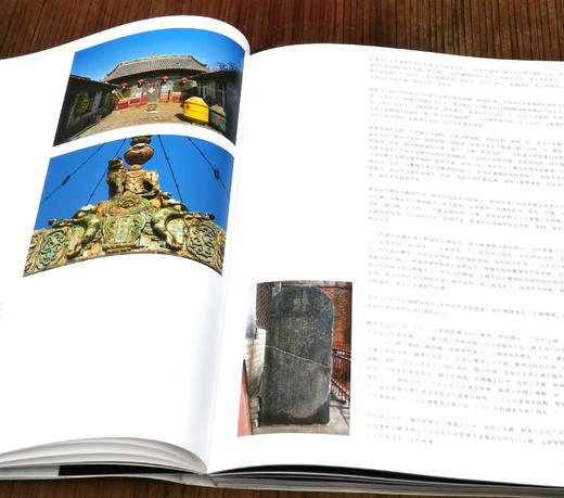 《独冠天下：山西晋城玉皇庙二十八星宿》《独冠天下：山西高平铁佛寺造像》，16开平装，候楠山著，三晋出版社2023年9月一版二印，每册定价268元，售价158元，两册合售价：298。购买单册：赠送“云冈 商品图4