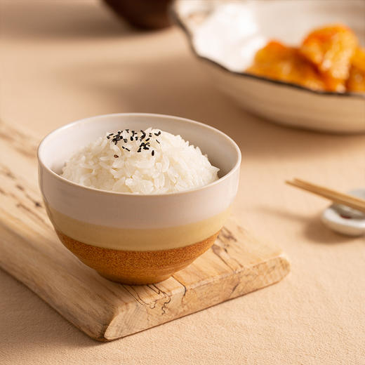 【舍米蓝】日本原产自由棕米饭碗五件套装 商品图2