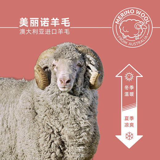 ZEALWOOD赛乐美利奴羊毛250g功能内衣登山滑雪基础层 商品图1