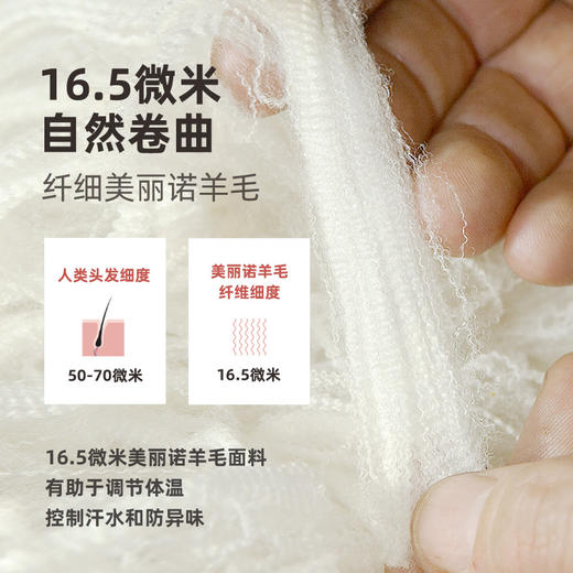 ZEALWOOD赛乐美利奴羊毛250g功能内衣登山滑雪基础层 商品图2