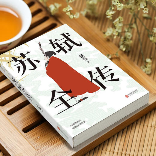 苏轼全传 洪亮 著 传记 商品图1