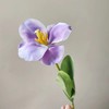 【琳琅】法式翻花郁金香/1枝装 商品缩略图4