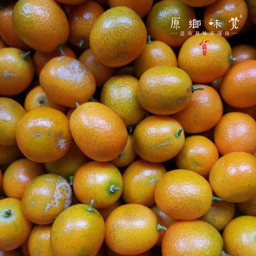 生态老品种金桔（基地直发-中通/百世包邮）| 5斤装，来自广西阳朔，生产者：黄必江【合作生产，公平贸易】 商品图6