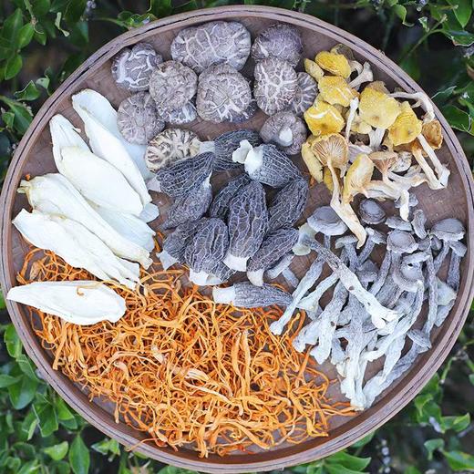 寿宁菌汤包料包干活煲汤炖汤袋装礼盒装 70g/包 商品图2