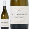 玳希酒庄勃艮第香沛干白葡萄酒 2020 Domaine Tessier Bourgogne Blanc Champ Perrier 商品缩略图0