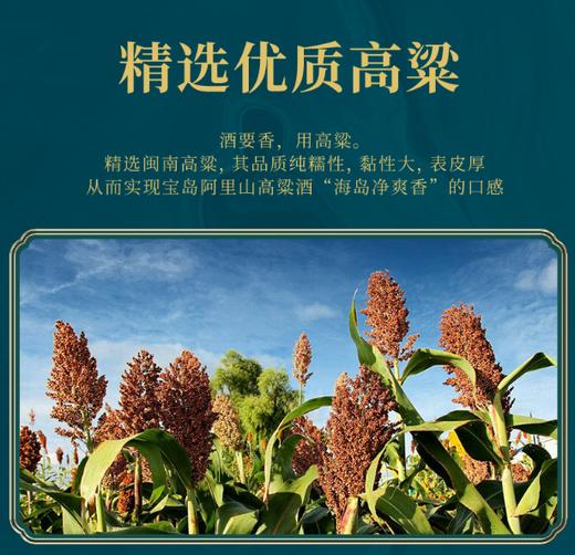 AY宝岛阿里山高粱酒 商品图6