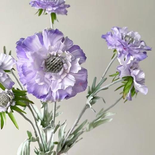 【仿真花】法式高级感仿真花松虫草-紫色 商品图5