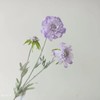 【仿真花】法式高级感仿真花松虫草-紫色 商品缩略图3