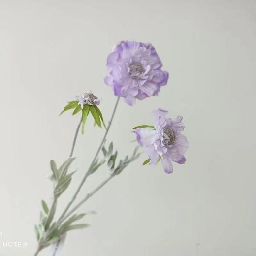 【仿真花】法式高级感仿真花松虫草-紫色 商品图3