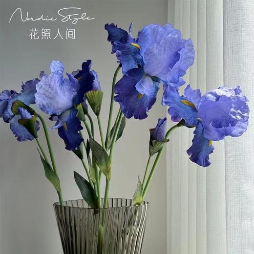 【琳琅】高档仿真油画法国鸢尾 商品图1