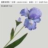 【琳琅】高档仿真油画法国鸢尾 商品缩略图0