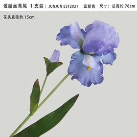 【琳琅】高档仿真油画法国鸢尾