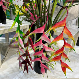 【琳琅】高品质仿真花手感蝎尾蕉吊鸟