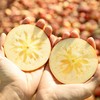 新疆阿克苏冰糖心苹果 商品缩略图2