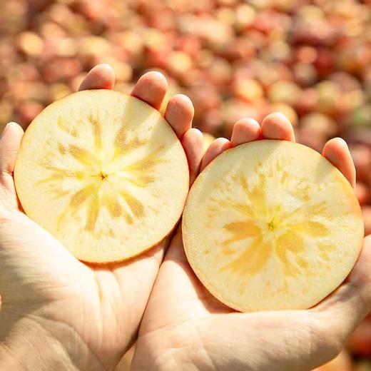 新疆阿克苏冰糖心苹果 商品图2