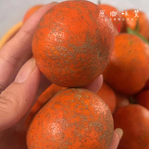 生态老树川红橘&清泉橙（基地直发-京东包邮）| 8.5-8.7斤装，来自四川蓬安，生产者：林绍勇【合作生产，公平贸易】 商品图11