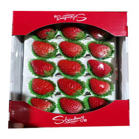 【35元/板】草莓（整板2斤）（150021801）