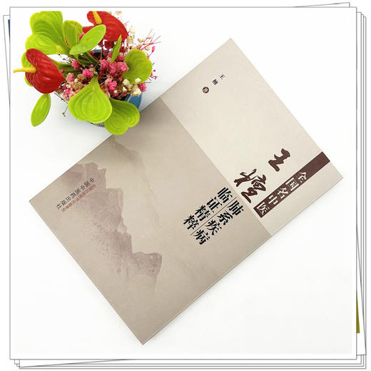 全国名中医王檀肺系疾病临证精粹 王檀 著 中国中医药出版社 中医临床 书籍 商品图1