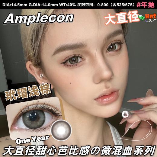 AMPLECON +玳瑁浅棕（年抛） 商品图0