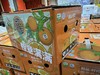 橙意满满橙子礼盒 商品缩略图1
