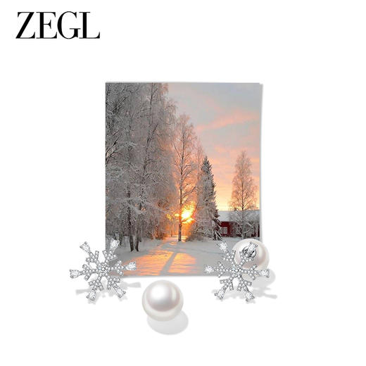 ZEGL法式雪花人造珍珠耳环女2023新款爆款秋冬高级感耳钉银针耳饰 商品图2