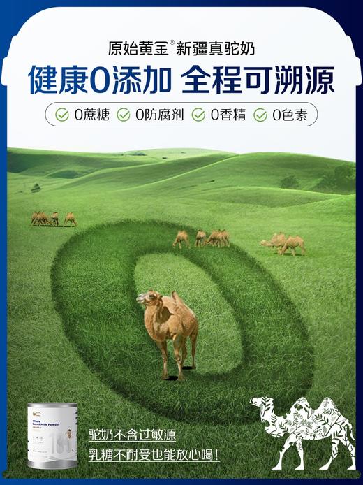 原始黄金纯驼奶粉正宗新鲜全脂骆驼奶粉300g*12罐 TZ 商品图1