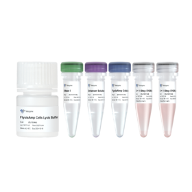 FlysisAmp Cells-to-CT 1-Step SYBR Green Kit