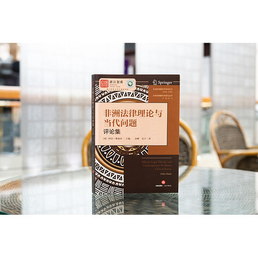 非洲法律理论与当代问题（评论集） （英）阿奇·奥纳齐主编 田峰 吴卡译 法律出版社 商品图0