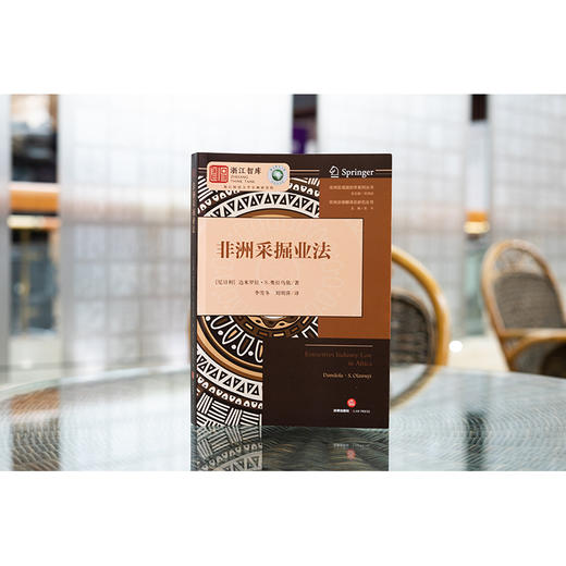 非洲采掘业法  （尼日利）达米罗拉·S·奥拉乌依著 李雪冬 刘明萍译  法律出版社 商品图0