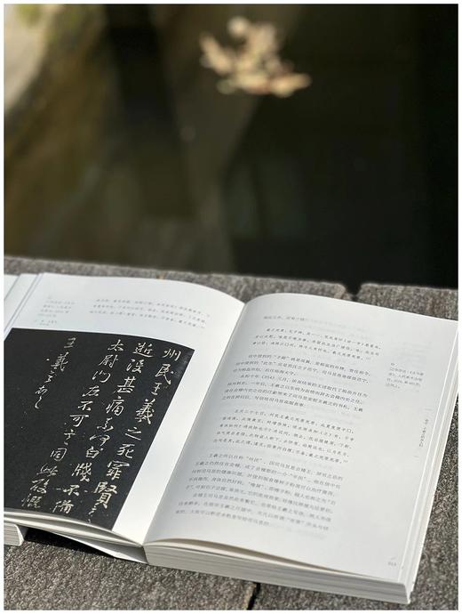 刘墨先生签名本！！《永和九年：赴一场兰亭之约》，16开平装，全2册，刘墨著，人民美术出版社2023年12月一版一印，668页，定价258，售价219.3元。 商品图11