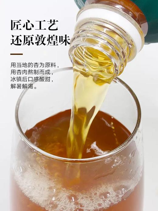 敦煌 杏皮茶400mlx6瓶装 甘肃特产0脂 杏皮茶吃火锅必备果汁饮料 商品图2