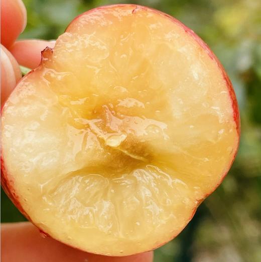 斯卡拉雷黑天鹅🦢SWAN黄金车厘子🍒 黄车里的天花板😍每一颗都是脆甜爆汁，追求品质追求口感的亲们，一定不要错过这款好吃的金车~ 商品图3