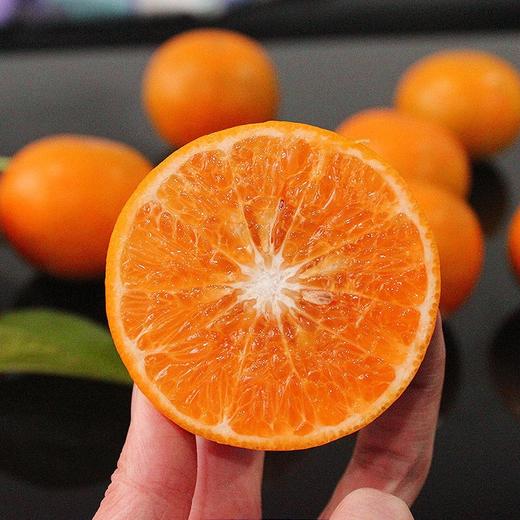 【新鲜采摘！广西武鸣沃柑】果肉饱满，清甜多汁，营养美味！水果当季皇帝柑沙糖蜜橘砂糖柑橘橘子桔子 商品图4
