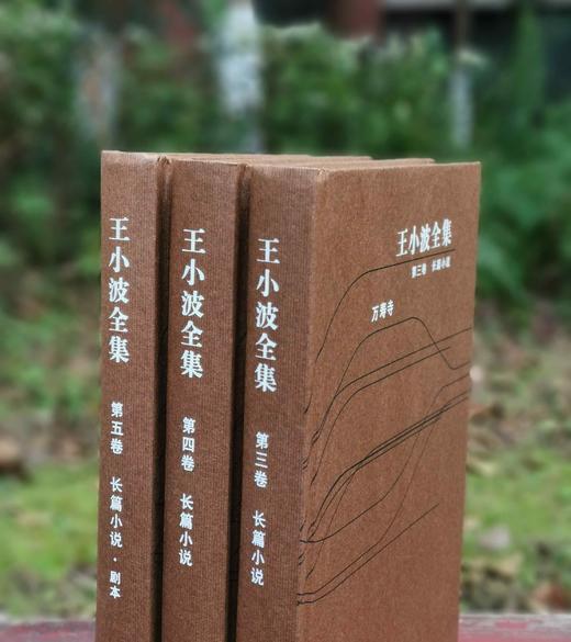 《王小波全集》精装， 3、4、5册，王小波著，云南人民出版社2006年版，定价86.4元，售价58元，非偏远地区包邮。品相95成。 商品图3