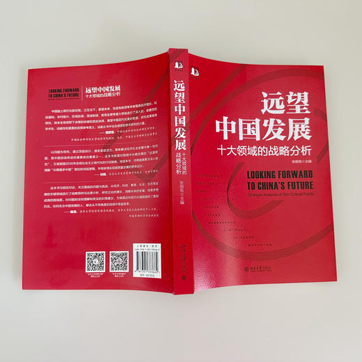 远望中国发展——十大领域的战略分析 张国有 北京大学出版社 商品图3