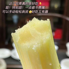 来自果蔗之乡——正宗陶山甘蔗，可以手撕的甘蔗，汁多清甜、节长、渣松而软，咔嚓咔嚓轻松啃，牙口不好朋友的福音，净化肺部的蕞佳食品之一，除了富含糖分和水分外，还含有大量对人体新陈代谢有益的维生素！约4斤