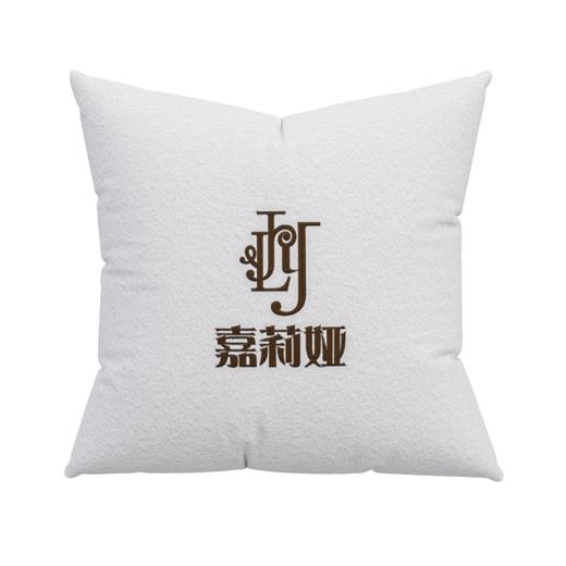 【烧宝限量抱枕】赠品专属 商品图0