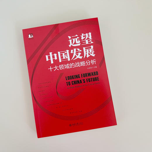 远望中国发展——十大领域的战略分析 张国有 北京大学出版社 商品图2