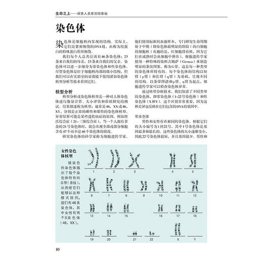 生命之上——探索人类基因组奥秘 商品图6