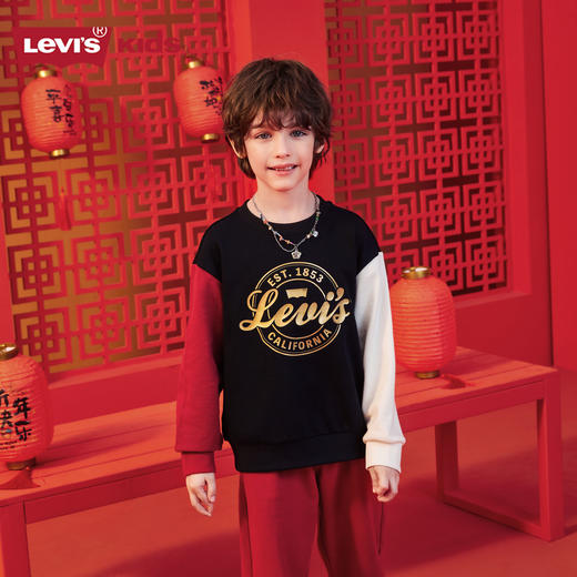 LEVIS 春 大童小童婴童 儿童童装卫衣 LVB-FW-K910 商品图4