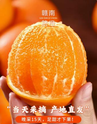 赣南脐橙5kg 商品图0