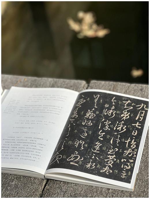 刘墨先生签名本！！《永和九年：赴一场兰亭之约》，16开平装，全2册，刘墨著，人民美术出版社2023年12月一版一印，668页，定价258，售价219.3元。 商品图8