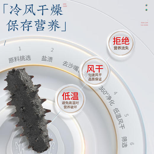 同仁堂（TRT）北京同仁堂 青源堂淡干海参辽参50g12-14只海参干货过年礼盒SY 商品图4