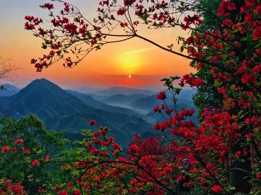 杭州慢姑娘天目岭别墅轰趴 商品图13