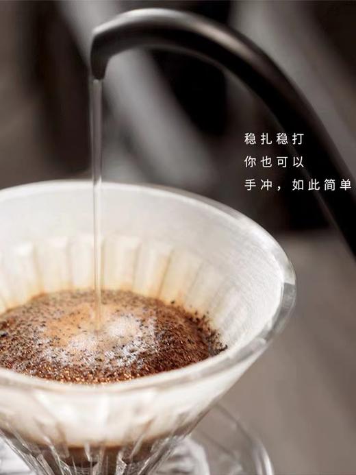 泰摩 鱼三手冲咖啡壶 鱼3挂耳冲泡壶304不锈钢滴漏式家用长嘴壶 商品图2