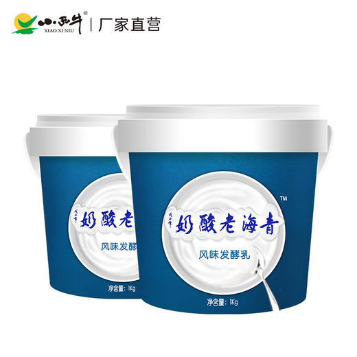 【光明&小西牛】青海桶装老酸奶4.0g蛋白原味益生菌酸奶 1KG*2桶 商品图0