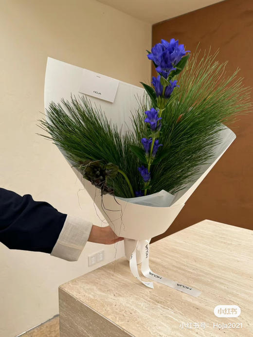 国产配叶-【马尾松】 商品图1