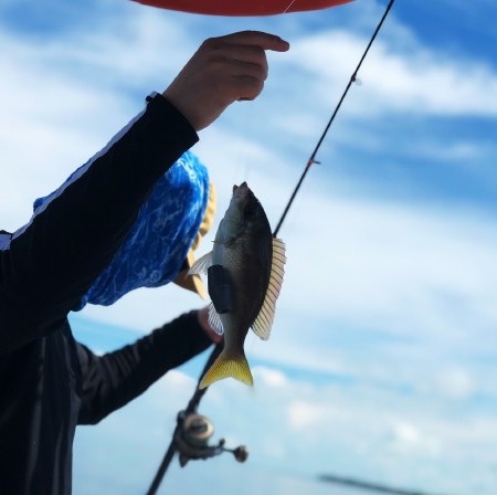 【仙本那海钓】休闲海钓|体验海钓|深海沉底钓|专业铁板钓|深海电动绞|仙本那镇往返