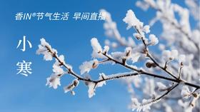 节气生活 小寒早直播